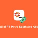 gaji di PT Petra Sejahtera Abadi